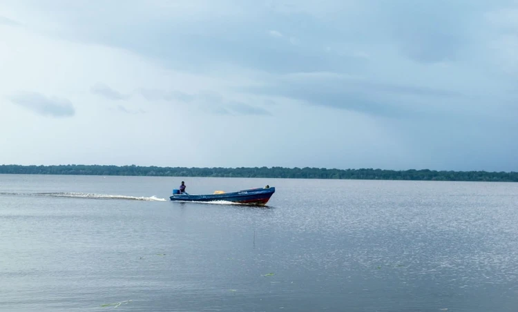 Buatu