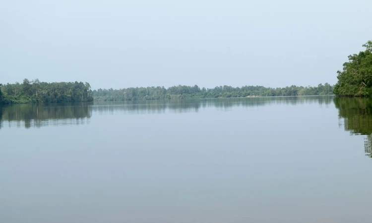 Dingeninu di Bongu